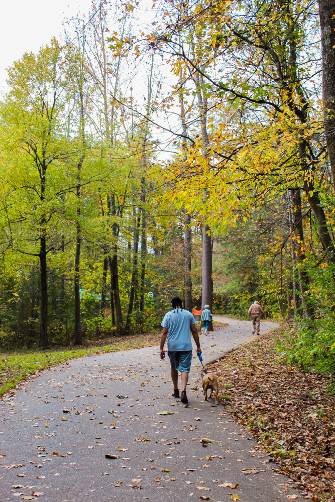 People walking on trail